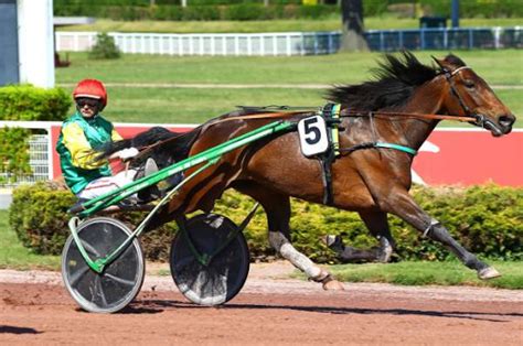 le nouveau journal de jackturf|cheval gagnant quinté jour.